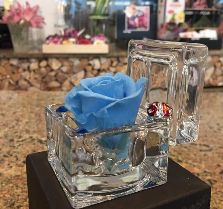 Cosa sono le rose stabilizzate?