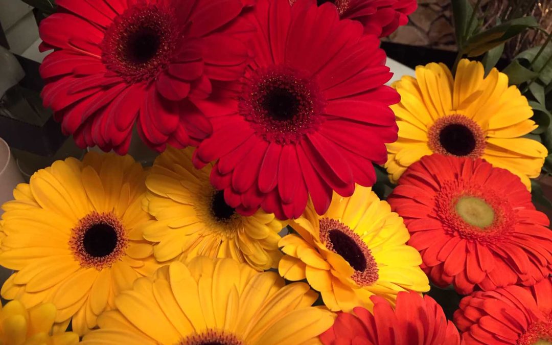 I fiori preferiti a Trieste