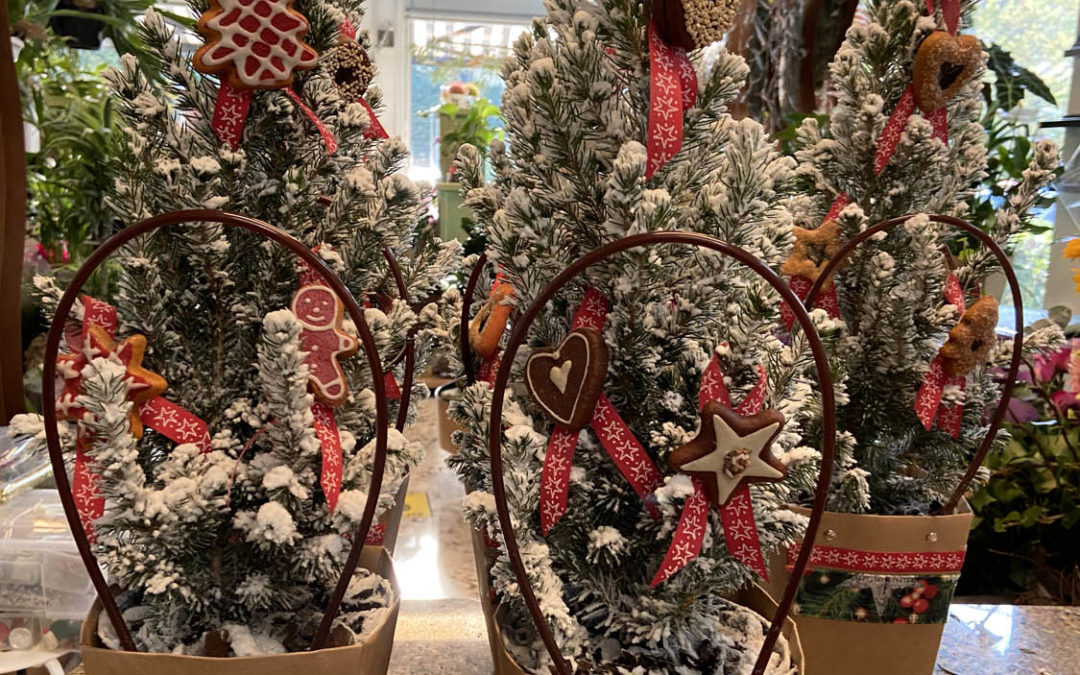 Albero di Natale: le origini della tradizione