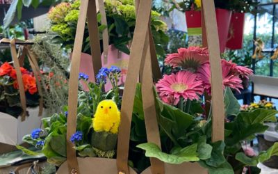 I nostri fiori per la Pasqua