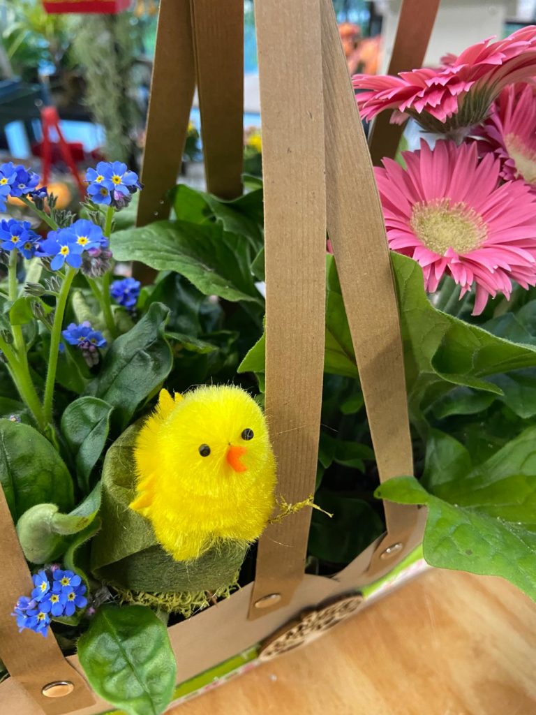 Fiori Pasqua Trieste